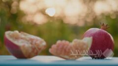 مستند «داستان انار» – قسمت ششم