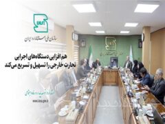 هم افزایی دستگاه‌های اجرایی تجارت خارجی را تسهیل و تسریع می کند
