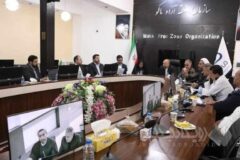 گره پلاک‌گذاری خودروهای پلاک منطقه آزاد ماکو باز می‌شود