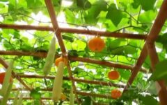 نخستین هویت من، عضویت در حزب حاکم است