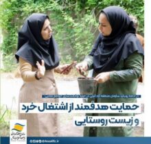 حمایت هدفمند منطقه آزاد انزلی از اشتغال خرد و زیست روستایی