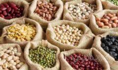 قیمت حبوبات بسته بندی شرکتی در میادین و بازارهای میوه و تره بار تهران اعلام شد