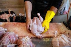 قیمت مرغ به کمتر از ۳۰۰ هزار تومان رسید