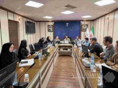 تأکید بر تسهیل ارائه خدمات درمانی به ایثارگران در نشست مشترک بیمه دی و بنیاد شهید استان زنجان