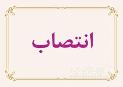 تأکید مدیرعامل بر نقش راهبردی «بازرسی» در افزایش رضایت و اعتماد ذی‌نفعان