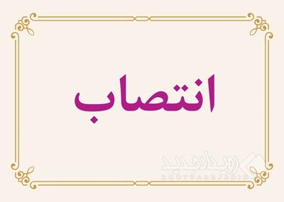 تأکید مدیرعامل بر نقش راهبردی «بازرسی» در افزایش رضایت و اعتماد ذی‌نفعان