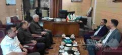 نشست بیمه دی و پشتیبانی امور دام استان آذربایجان غربی برگزار شد