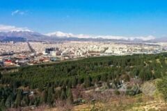 بوستان جنگلی سرخه‌حصار بازگشایی شد
