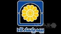 هنر بیمه‌گری در بیمه پاسارگاد؛ وقتی کیفیت، فاصله‌ها را بیشتر می‌کند