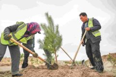 گام‌های بلند چین در پاسداشت محیط زیست و تقویت اقتصاد سبز