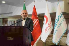 تحول در زنجیره ارزش تامین مالی کشور با ورود صنعت بیمه به حوزه «تضمین»/ مشارکت راهبردی بیمه دی در «صندوق تضمین غیر دولتی»