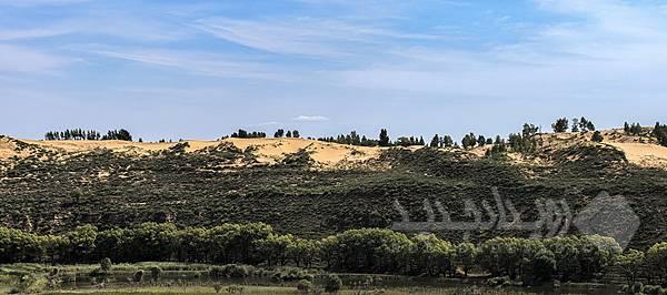 تبدیل کویر به فضای سبز؛ تجربیات ارزشمند چین در اختیار کشورهای مختلف جهان