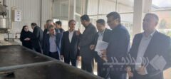 اختصاص ۲۸۰ میلیارد تومان تسهیلات بانک صنعت و معدن برای حمایت از واحدهای تولیدی شهرستان گرمی استان اردبیل