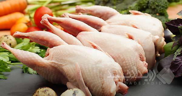 قیمت گوشت و تخم بلدرچین (۲۹ شهریور ۱۴۰۵) اعلام شد