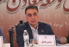 اردشیر سعدمحمدی عضو شورای راهبردی بخش معدن شد