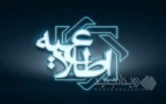ارسال پرونده متخلفان ارزی به مراجع قضایی