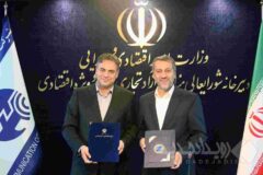توسعه فیبر نوری در مناطق آزاد شتاب می‌گیرد