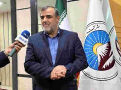 بیمه ایران، بازوی توانمند دولت در مدیریت کلان ریسک‌های اقتصادی