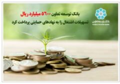 بانک توسعه تعاون ۵۶۰۰ میلیارد ریال تسهیلات به مددجویان نهاد های حمایتی پرداخت کرد