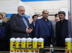 بانک ملی ایران از اشتغال آفرینی در مناطق محروم و کم برخودار حمایت می کند