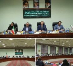 تشکیل کمیته اطلاع رسانی دبیرخانه ستاد زنجیره فولاد کشور