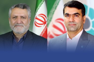 تقدیر از مدیر عامل بانک توسعه تعاون برای جذب حداکثری تسهیلات مشاغل خانگی