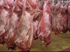 تولید سالانه گوشت قرمز به ۹۰۰ هزار تن رسید