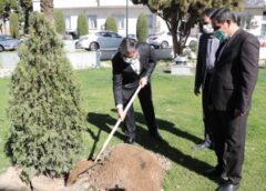 کاشت درخت توسط مدیرعامل بانک ملی ایران به مناسبت روز درختکاری