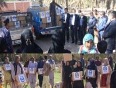 کمک‌های معیشتی بیمه‌آسیا در مناطق سیل‌زده جنوب استان کرمان توزیع شد